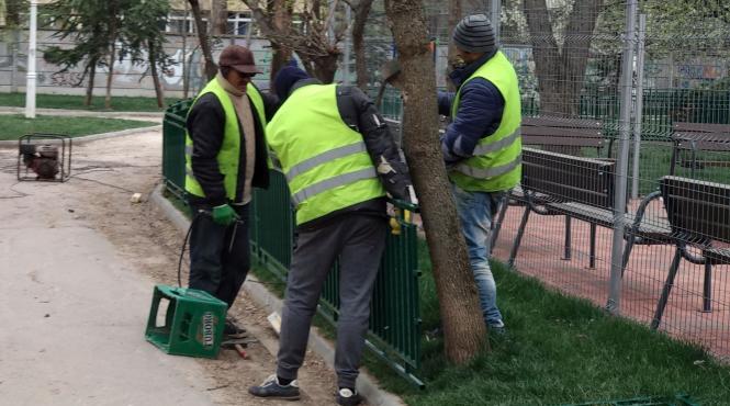 drumul taberei cu garduri fara masca