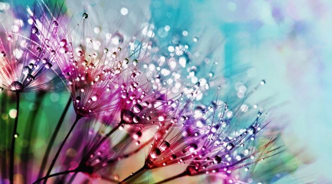 vesti neasteptate de la meteorologi vremea incepe sa se incalzeasca usor in urmatoarele trei zile