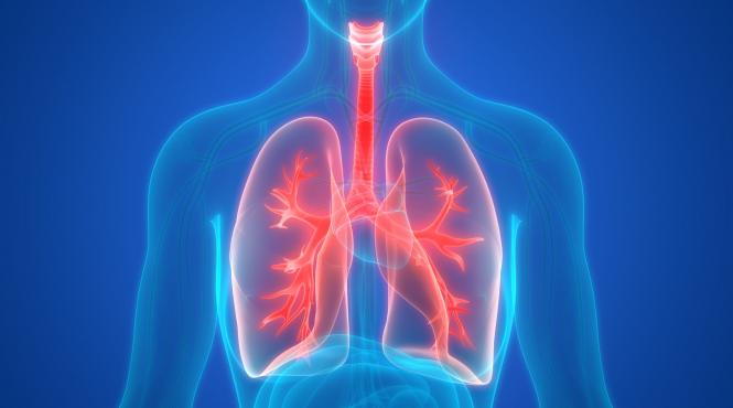 tuberculoza la copii si adulti simptome tratament profilaxie