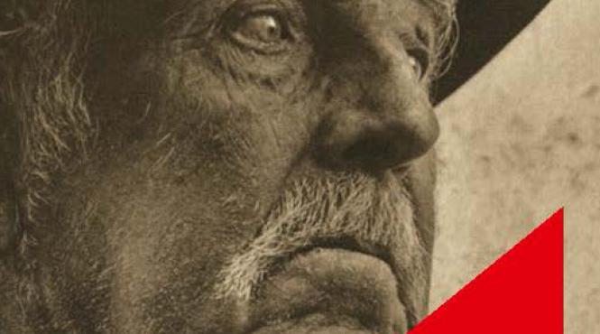 stai acasa si citestecartiesentiale comanda romanul ion de liviu rebreanu