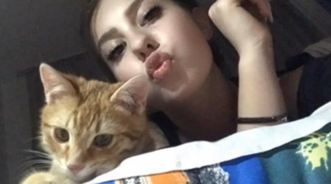 covid 19 periculos si pentru animalele de companie pisicile cele mai vulnerabile