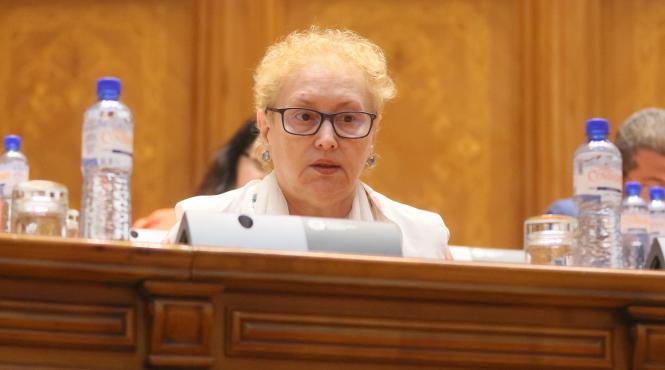 renate weber atacata de rares bogdan pentru ca a atacat actele guvernului la ccr