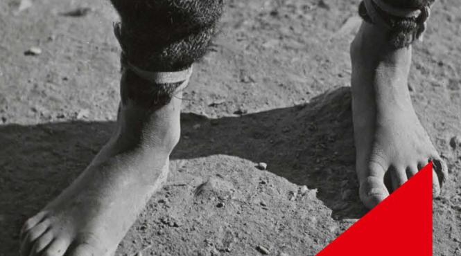 comanda romanul descult de zaharia stancu stai acasa si citestecartiesentiale