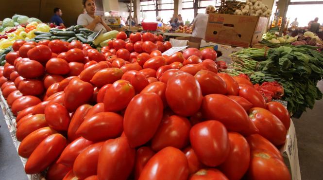 adrian oros spune ca au fost depuse foarte multe dosare fictive in programul pentru tomate