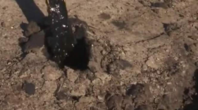 poluare masiva la vadu cine este proprietarul terenului si ce spune despre contaminarea solului