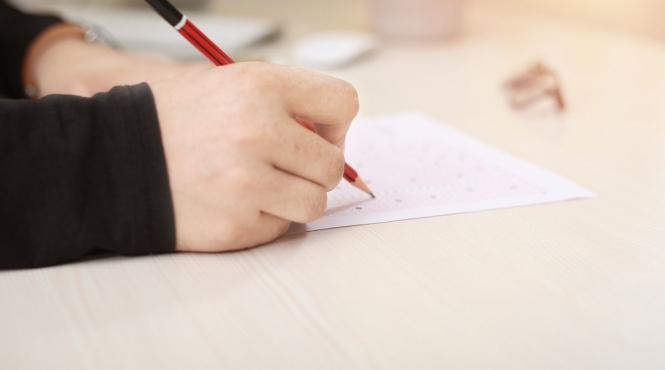 elevii primiti la evaluarea nationala si fara buletin