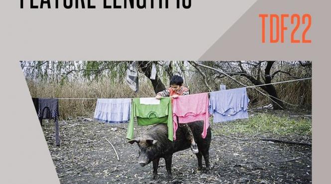 dupa sundance si dok fest munchen inca un premiu pentru acasa filmul de debut al lui radu ciorniciuc premiul special al juriului la thessaloniki documentary festival special jury award