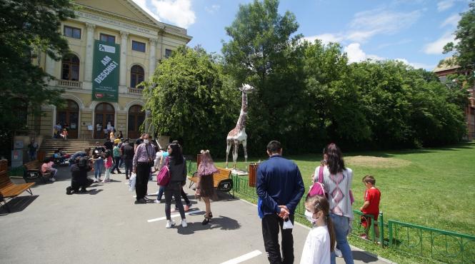 antipa si a redeschis portile pentru cei mici