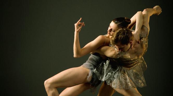 intalnirile jti la fits dust and light felinele salbatice din san francisco