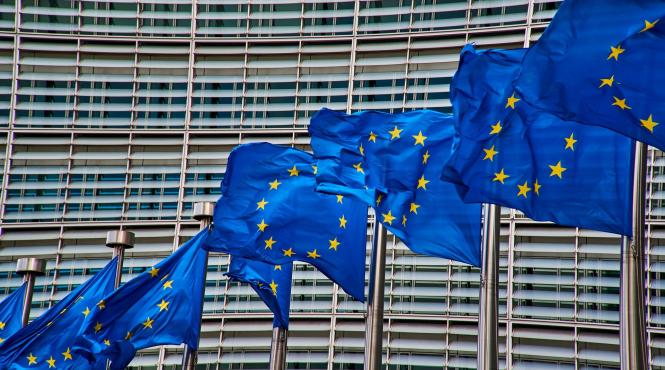 societatea civila neglijata in bugetul ue