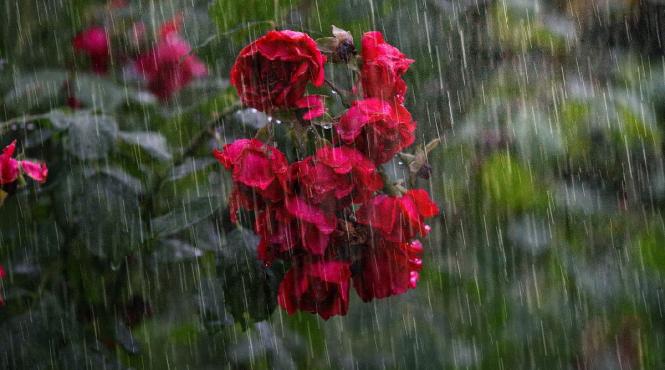 prognoza meteo pe doua saptamani ce temperaturi vor fi in toata tara pana la finalul lunii