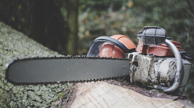 dosare penale si amenzi de peste 140 000 de lei pentru doua firme din domeniul forestier