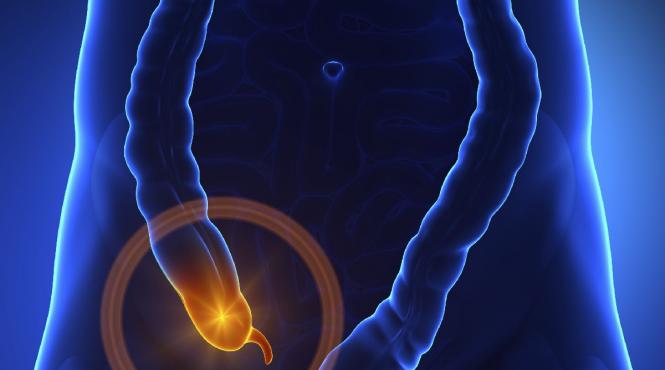 apendicul face parte din apararea imunitara