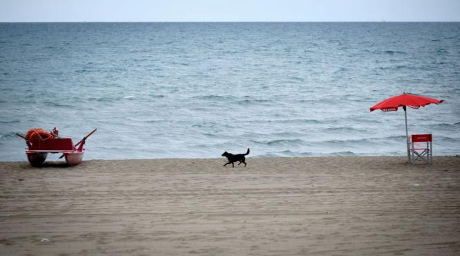 cetatenii statelor unite sarbatoresc ziua nationala altfel los angeles isi inchide plajele in weekend