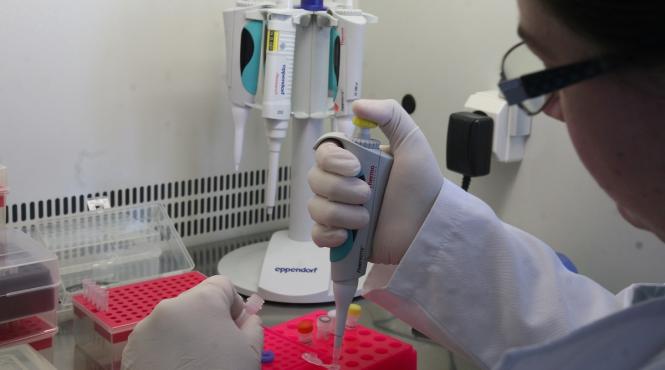 11 persoane confirmate pozitiv la spitalul miercurea ciuc doua sunt cadre medicale