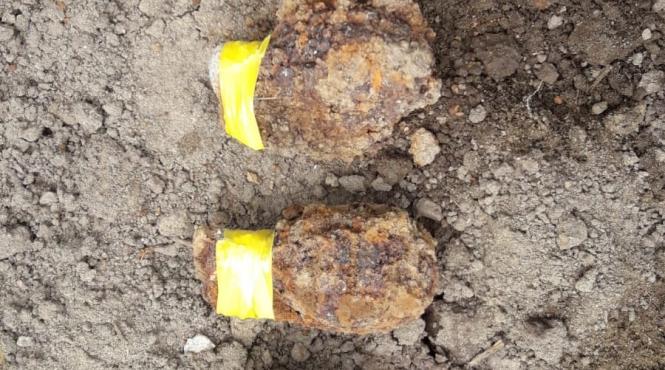 un barbat din neamt a gasit grenade din al doilea razboi mondial in curtea casei