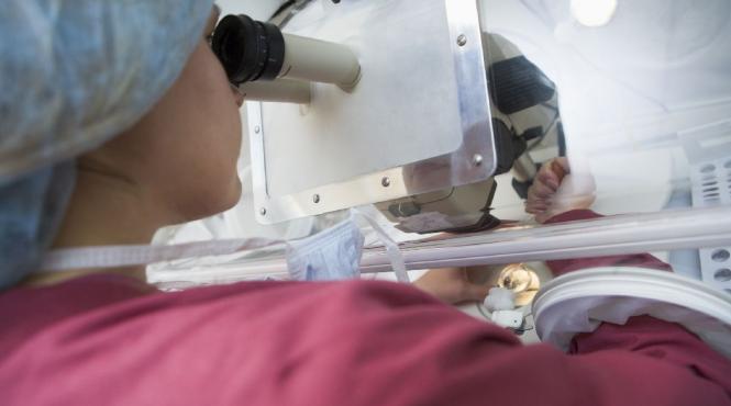 se reiau inscrierile pentru fiv2