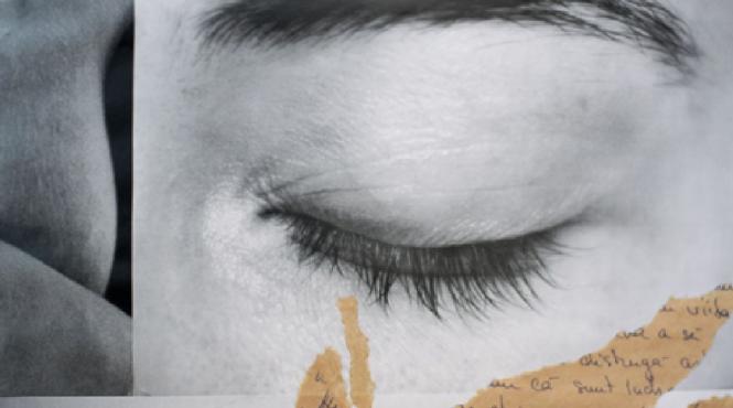 diploma viewing rooms a conturat in perioada 21 iulie 25 august o platforma de expozitii online de arta arhitectura si design