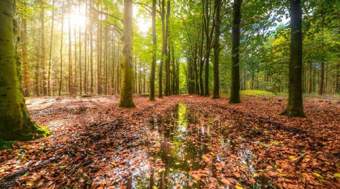 prognoza meteo pentru perioada 31 august 13 septembrie schimbare radicala a vremii