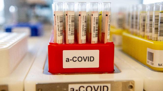 pandemia nu a incetat