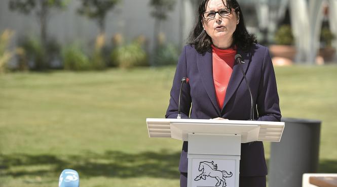 deputatul steluta cataniciu proiectele candidatului pnl exercitii de imagine promovate pe banii interlopilor