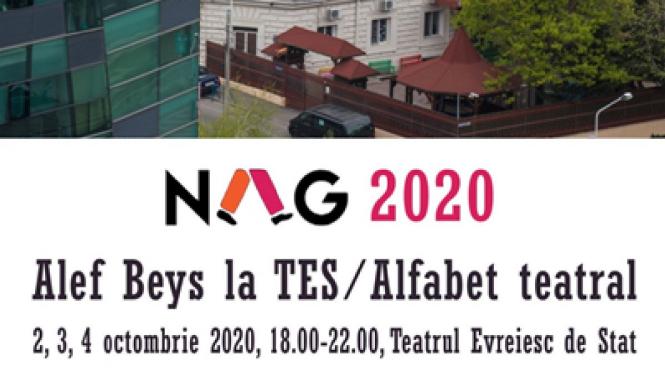 noaptea alba a galeriilor la teatrul evreiesc de stat