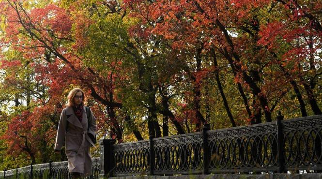 horoscop zilnic 9 octombrie taurii au o multime de idei pe care vor sa le puna in practica