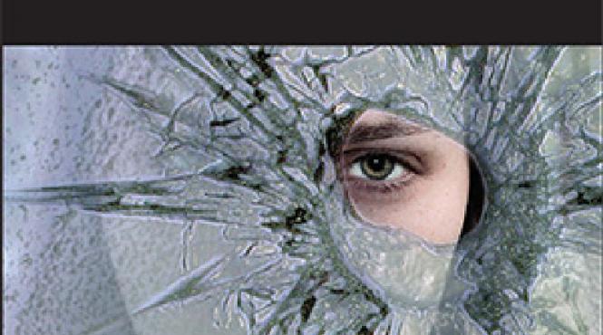 invitatie la lectura doua romane politiste scandinave de neratat