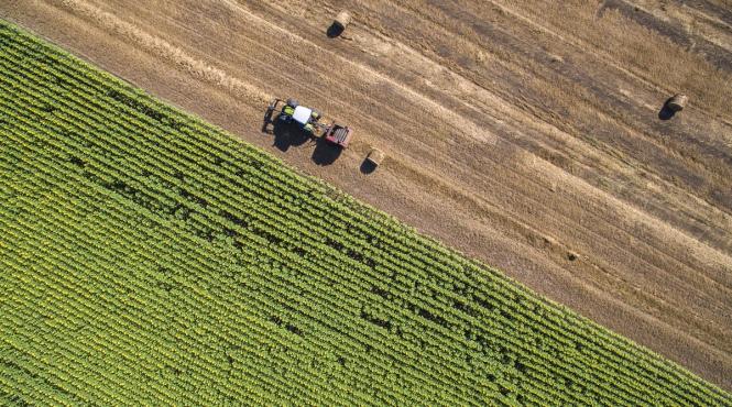 apia a platit renta viagera agricola pe 2019 care a fost suma alocata