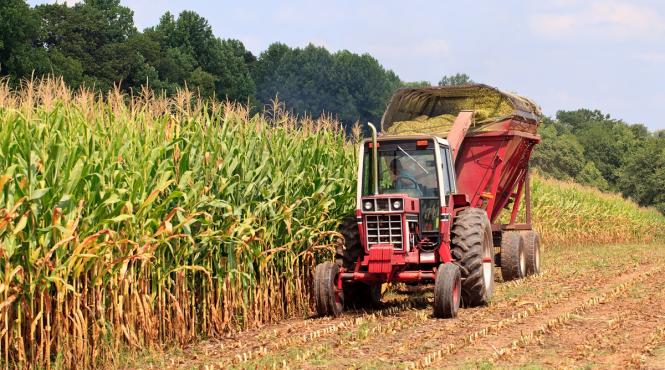 dan motreanu ajutorul national tranzitoriu pentru agricultori prelungit si dupa 2022