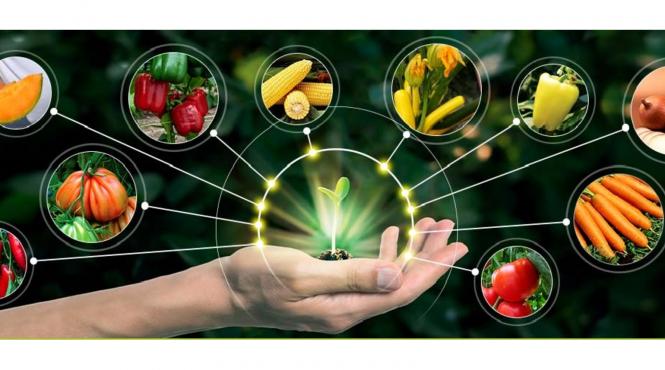 de ce sa alegi fungicide de la esenzi