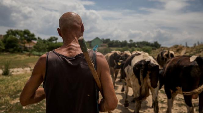 romania are nevoie urgent de o bariera verde 11 milioane de romani in pericol