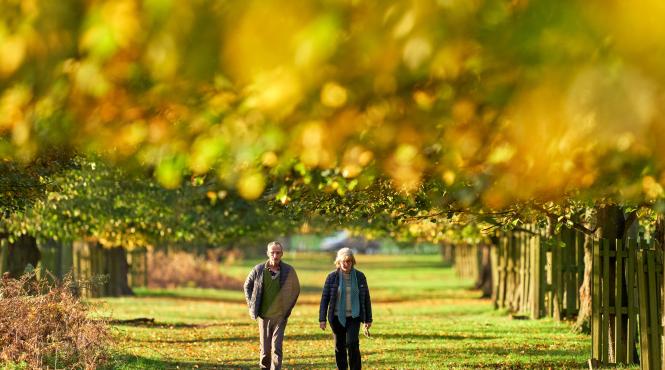 horoscop zilnic 3 noiembrie taurii petrec timp in familie