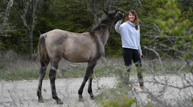 horoscop zilnic 5 noiembrie sagetatorii trebuie sa invete sa renunte la orgoliu