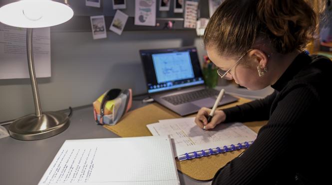 casa corpului didactic organizeaza cursuri pentru profesori de formare pentru invatamantul online