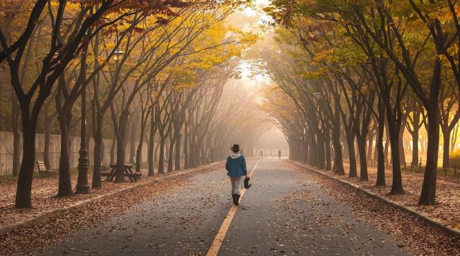 horoscop zilnic 4 decembrie capricornii fac o serie de schimbari importante