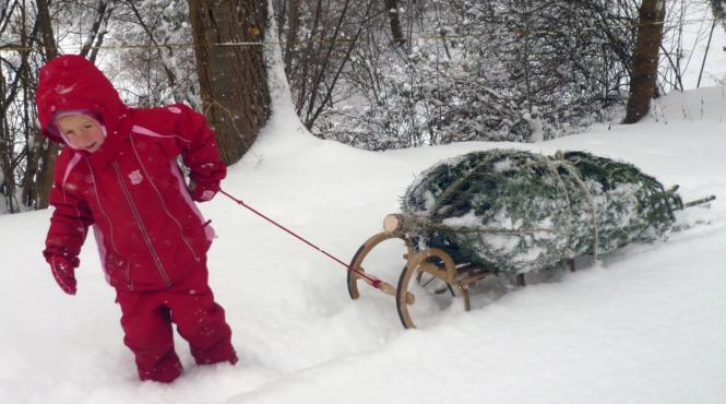 horoscop saptamanal 7 13 decembrie scorpionii invata sa ceara ajutor atunci cand au nevoie