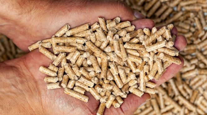 ce peleti trebuie sa alegi de pe piata si de ce