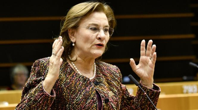 maria grapini condamna amestecul politicului in educatie