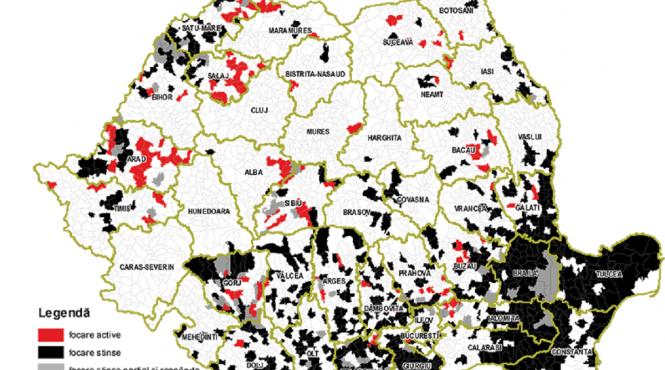 virusul ppa decimeaza efectivele companiei premium porc dna ia urma banilor