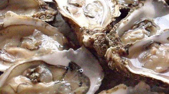 descoperire uimitoare in marea neagra o specie rara din pacific a fost gasita pe malul marii