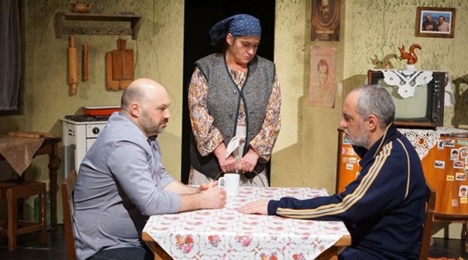 spune ceva frate un proiect marca ion sapdaru la nationalul iesean