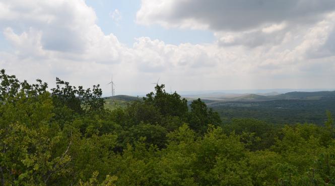un tezaur de peste doua mii de ani a fost descoperit intr un sat din judetul olt