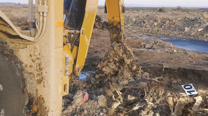 cimitirul oilor de la smardan gelu cazacioc trimis in judecata pentru furt de curent