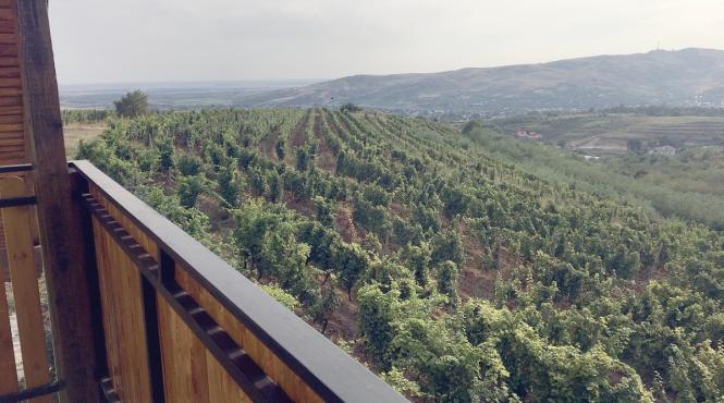 p investitii in pandemie crama basilescu a mizat pe dezvoltare in turism viniviticol