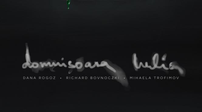 domnisoara iulia noul spectacol semnat de regizorii andrei si andreea grosu premiera online in cadrul festivalului caleido