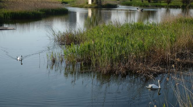 ambarcatiune 100 electrica proiectata sa curete apele de gunoaie lansata pe un lac din brasov