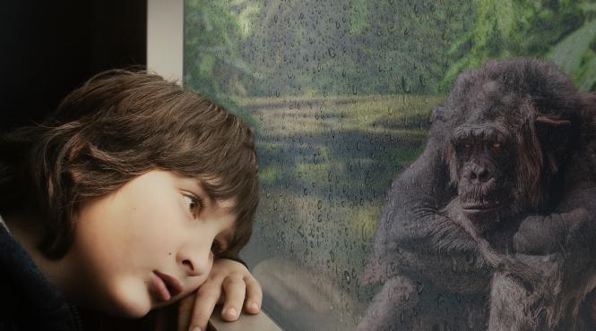 fenomen creste numarul de copii la psihiatrie dupa pandemie