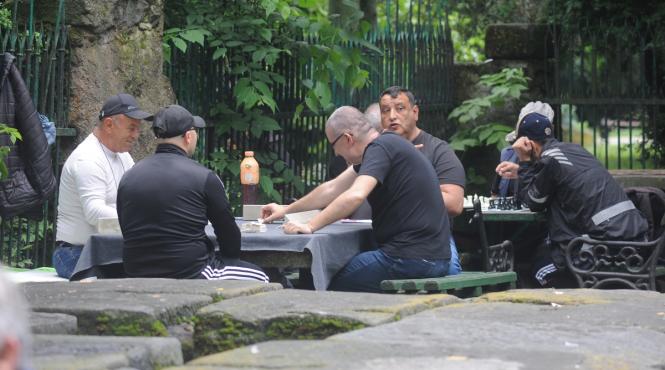 fiti seriosi romania nu avea ce sa caute la acest euro isi bateau toti joc de noi