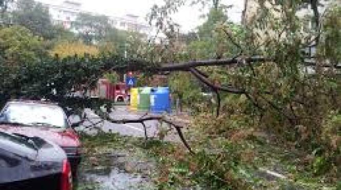 bilant dsu 51 de localitati din tara afectate de ploi si vijelii